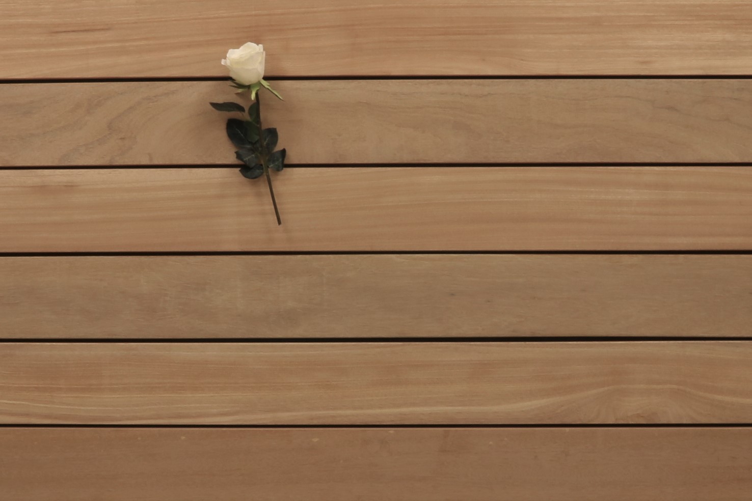 Bangkirai Holz Dielen für die Terrasse, 13,30 €/lfm, Premium (KD) glatt, 25 x 145 bis 5490 mm, Terrassendielen Bretter