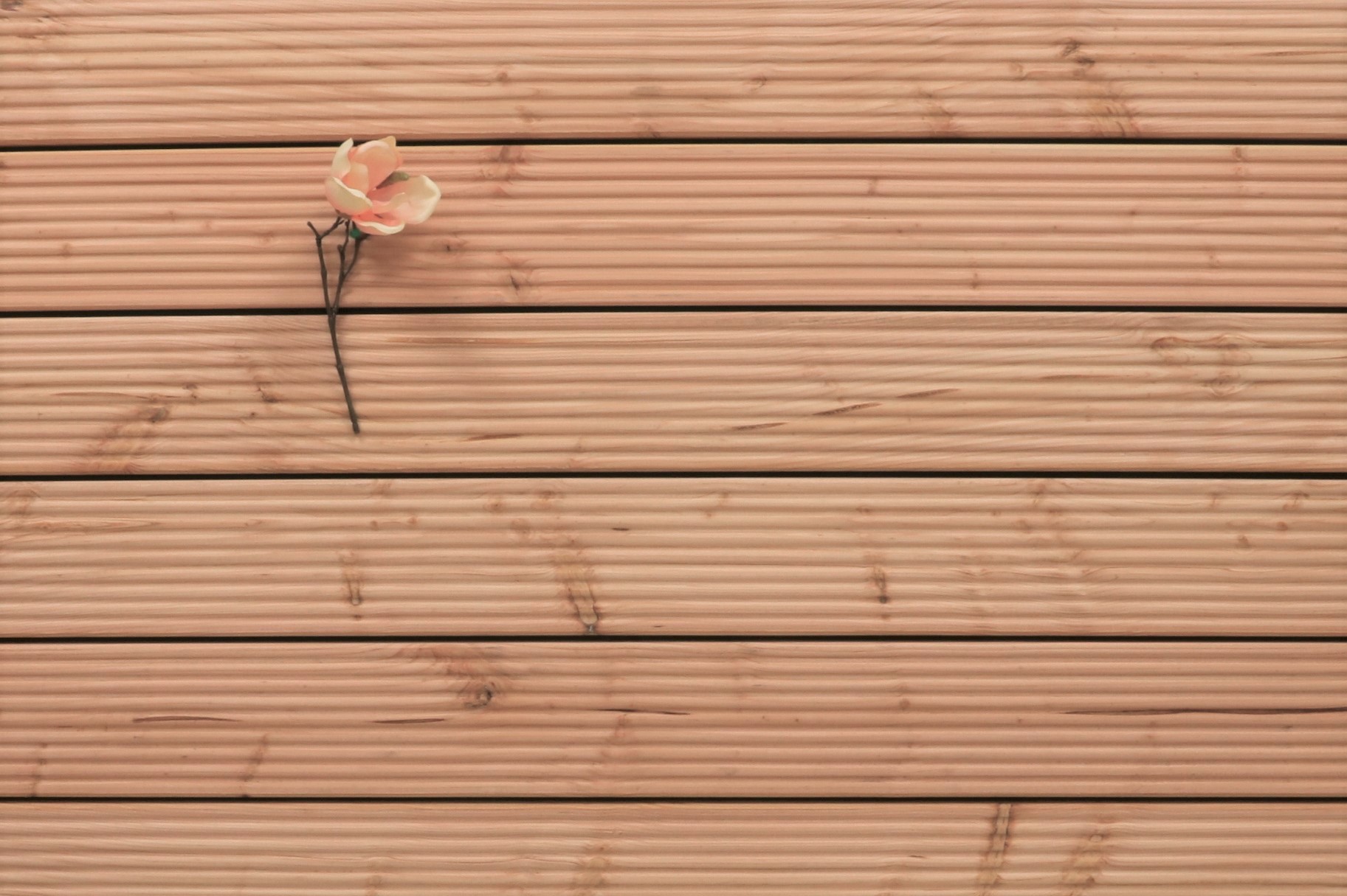Douglasie Holz Dielen für die Terrasse, 5,95 €/lfm, grob genutet, 26 x 145 bis 5000 mm, Terrassendielen Bretter
